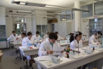 Konzentration gefragt: Die Schüler und Schülerinnen beim Praxiswettbewerb im Labor - Foto: LPA