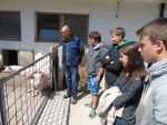 Vernetzung und Praxisunterricht kennzeichnen die Fachschule Laimburg: im Bild eine Schülergruppe beim Besuch der Partnerschule in St. Johann in Tirol - Foto: LPA/FS Laimburg