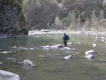 Jeder (in Südtirol ansässige) Angler muss die Fischerprüfung ablegen, um einen Fischereischein zu erhalten.